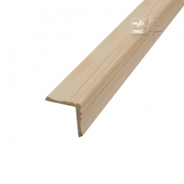 ugolok-vneshnij_4240